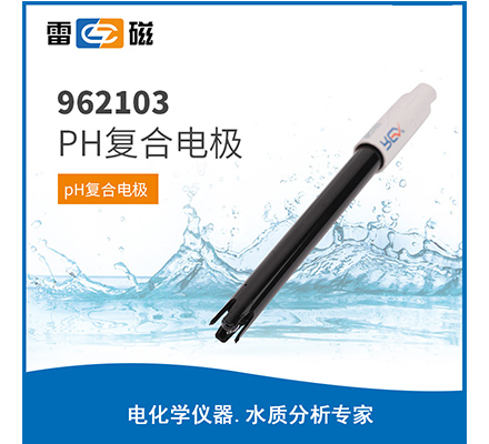 962103 开放式pH复合电极